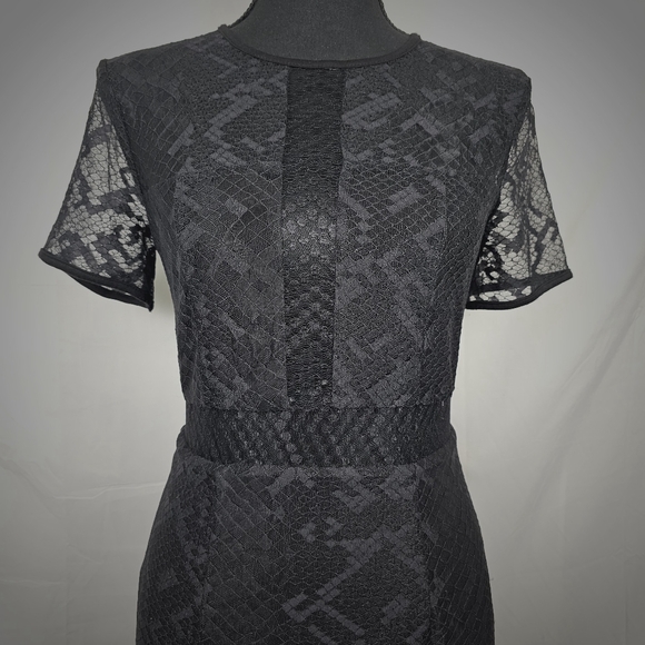 Bailey 44 Black Lace Blocked Sheath Dress. - Picture 4 of 16